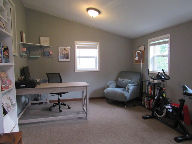 2640 Ironwood Ave, Slayton, MN 56172 - photo 24