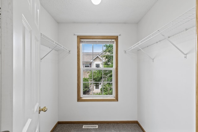 15481 Frost Path Unit 1803, Apple Valley, MN 55124 - walk in closet with carpet floors