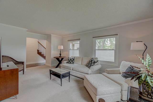 8517 143rd St W, Apple Valley, MN 55124 - living area featuring stairway, ornamental molding, carpet floors, a textured ceiling, and baseboards
