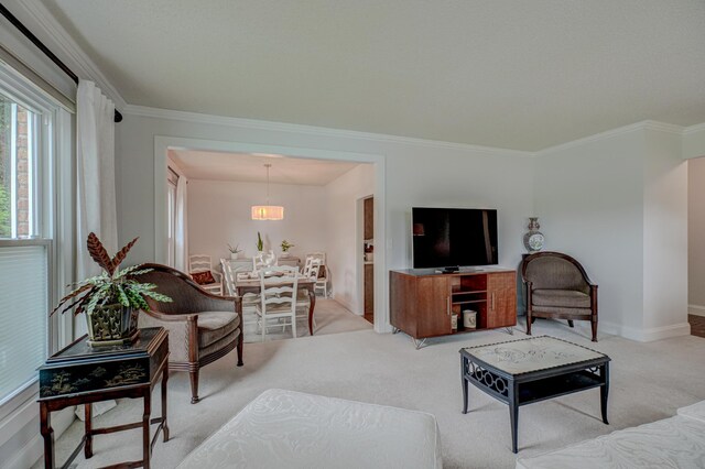 8517 143rd St W, Apple Valley, MN 55124 - living room with light colored carpet, crown molding, and baseboards
