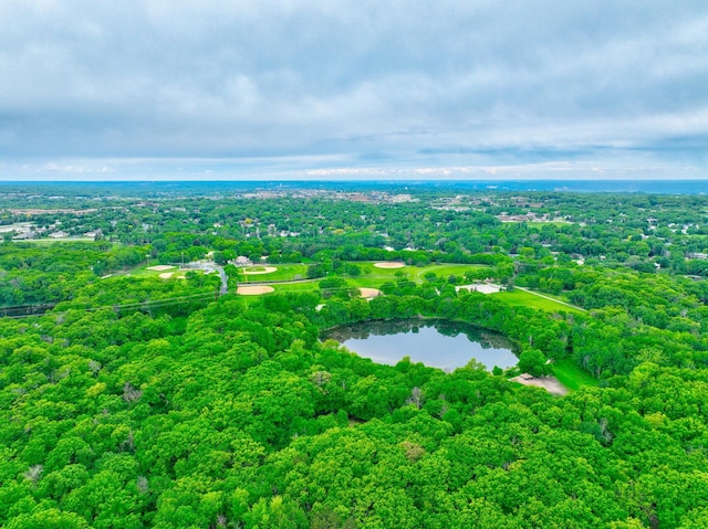 8517 143rd St W, Apple Valley, MN 55124 - bird's eye view of a nearby body of water and a heavily wooded area