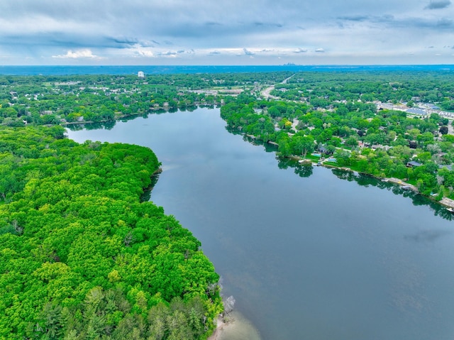 8517 143rd St W, Apple Valley, MN 55124 - drone / aerial view of a nearby body of water and a forest