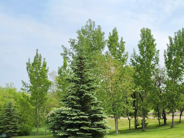 25712 15th Ave N, Highland Grove Twp, MN 56549 - view of undeveloped land