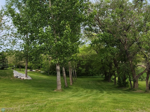 25712 15th Ave N, Highland Grove Twp, MN 56549 - view of grassy yard