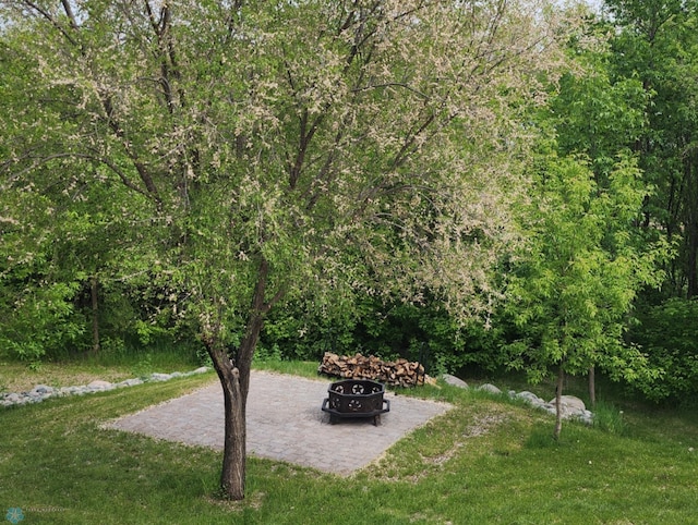 25712 15th Ave N, Highland Grove Twp, MN 56549 - surrounding community featuring an outdoor fire pit, a patio area, and a lawn