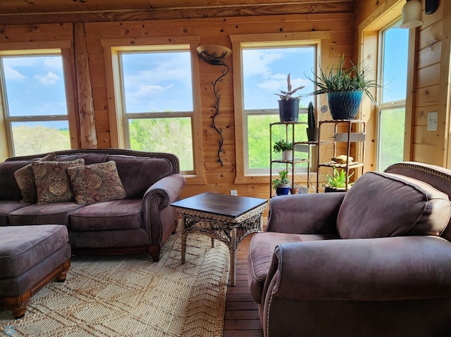 25712 15th Ave N, Highland Grove Twp, MN 56549 - living area featuring wood walls, healthy amount of natural light, and wood-type flooring