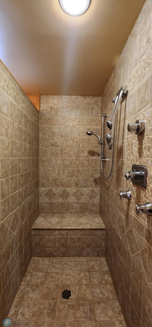 25712 15th Ave N, Highland Grove Twp, MN 56549 - full bathroom with a tile shower
