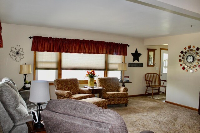606 Center Ave N, Blooming Prairie, MN 55917 - living room featuring carpet flooring and baseboards