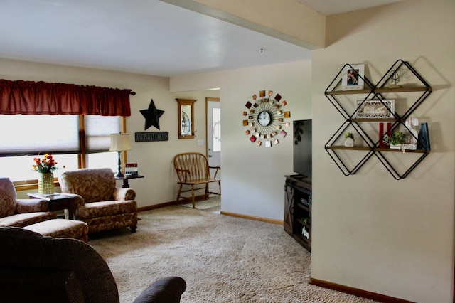 606 Center Ave N, Blooming Prairie, MN 55917 - living area featuring carpet flooring, healthy amount of natural light, and baseboards