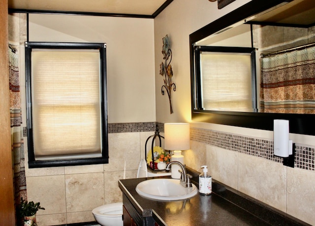 606 Center Ave N, Blooming Prairie, MN 55917 - bathroom featuring toilet, vanity, and a shower with curtain