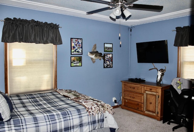 606 Center Ave N, Blooming Prairie, MN 55917 - bedroom featuring light carpet and ceiling fan