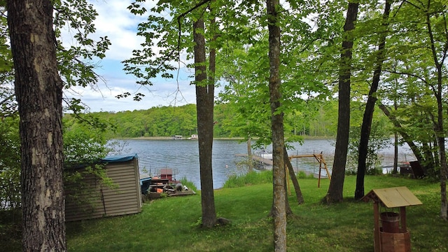 9779 Woodland Trl, Brainerd, MN 56401 - water view with a forest