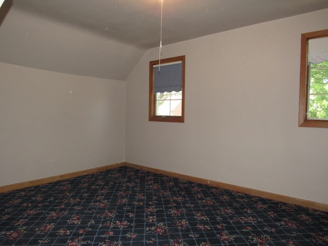 909 6th Ave, Brewster, MN 56119 - additional living space featuring lofted ceiling and carpet
