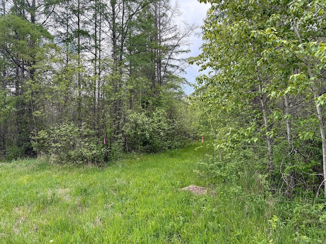 67241 State Highway 65, Togo, MN 55723