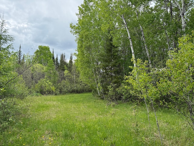 67241 State Highway 65, Togo, MN 55723