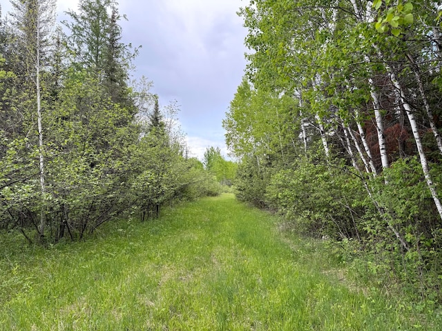 67241 State Highway 65, Togo, MN 55723