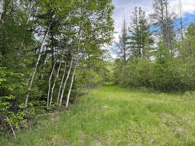 67241 State Highway 65, Togo, MN 55723