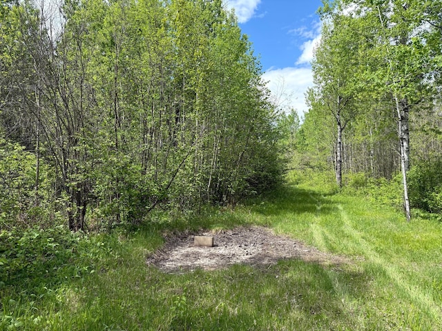 67241 State Highway 65, Togo, MN 55723