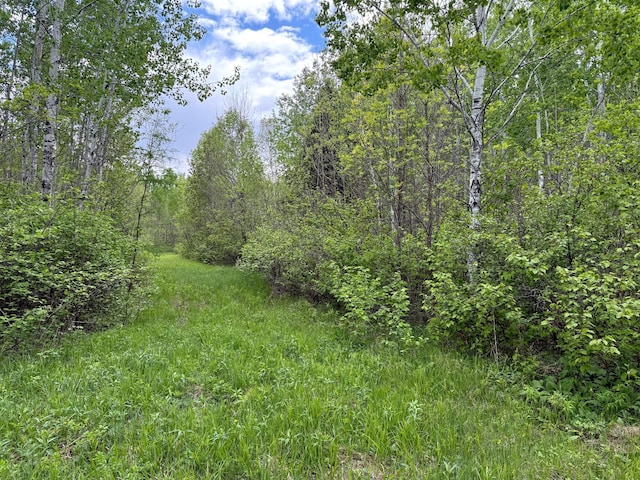 67241 State Highway 65, Togo, MN 55723