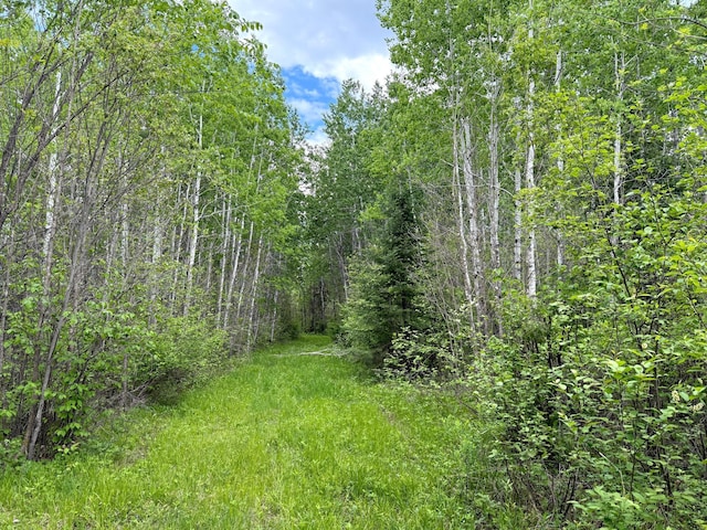 67241 State Highway 65, Togo, MN 55723