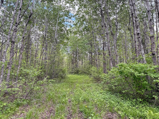 67241 State Highway 65, Togo, MN 55723