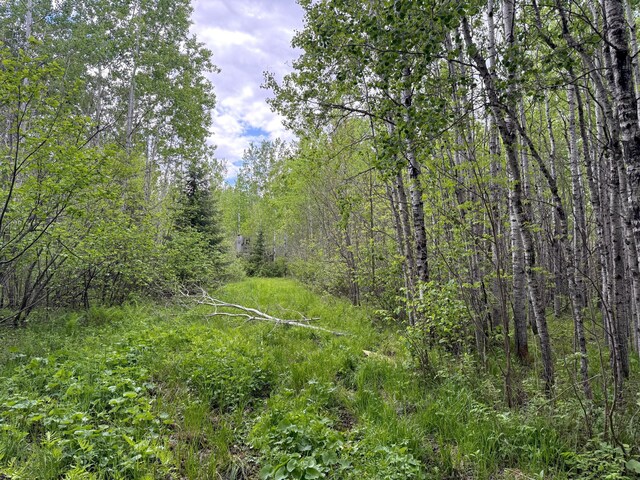 67241 State Highway 65, Togo, MN 55723
