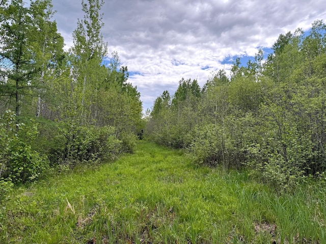 67241 State Highway 65, Togo, MN 55723