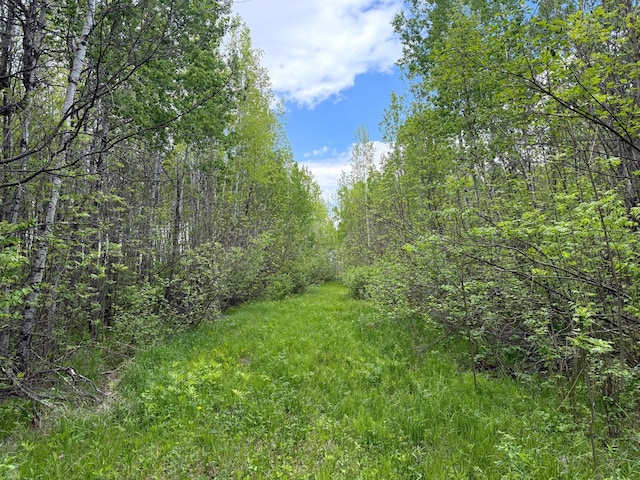 67241 State Highway 65, Togo, MN 55723