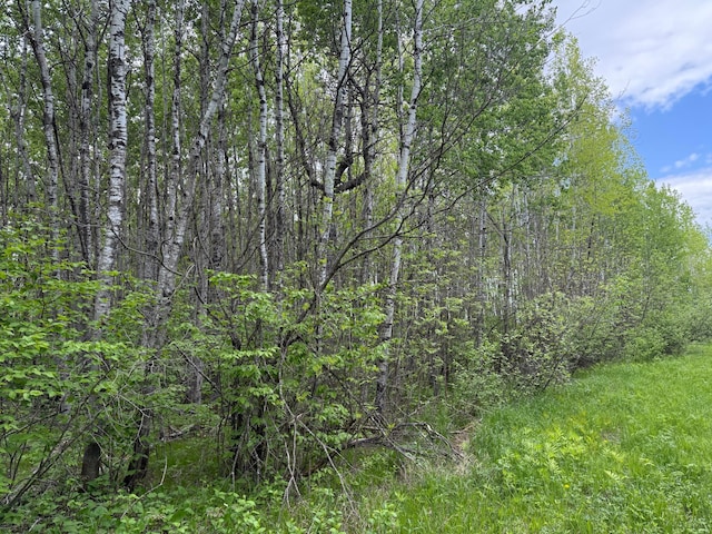 67241 State Highway 65, Togo, MN 55723