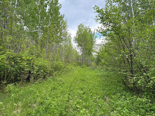 67241 State Highway 65, Togo, MN 55723