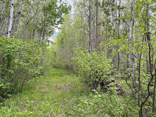 67241 State Highway 65, Togo, MN 55723