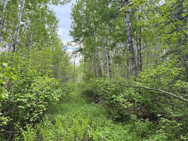 67241 State Highway 65, Togo, MN 55723