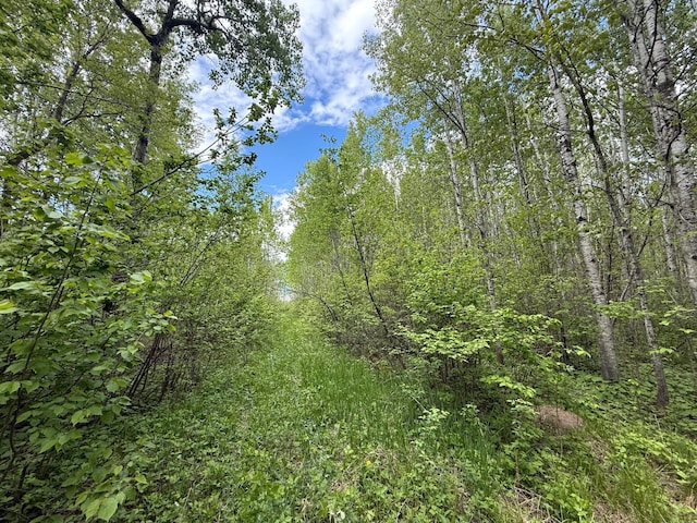 67241 State Highway 65, Togo, MN 55723