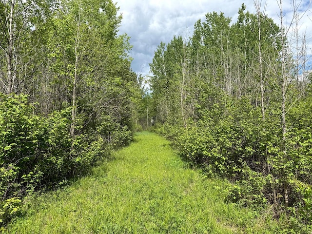 67241 State Highway 65, Togo, MN 55723