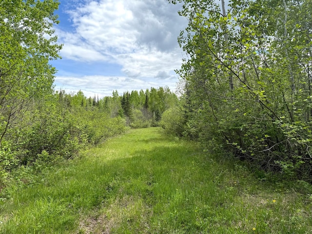 67241 State Highway 65, Togo, MN 55723