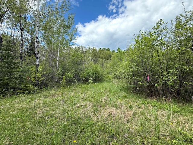 67241 State Highway 65, Togo, MN 55723