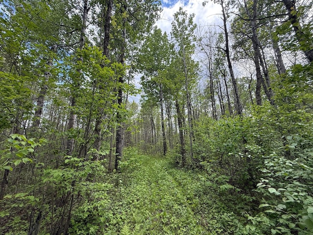 67241 State Highway 65, Togo, MN 55723
