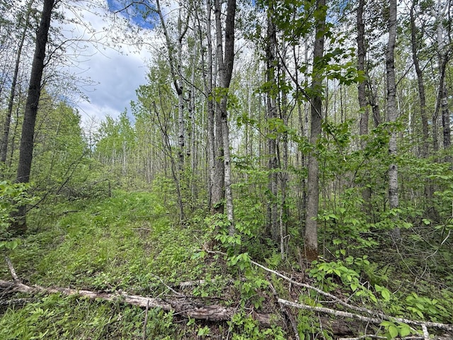67241 State Highway 65, Togo, MN 55723