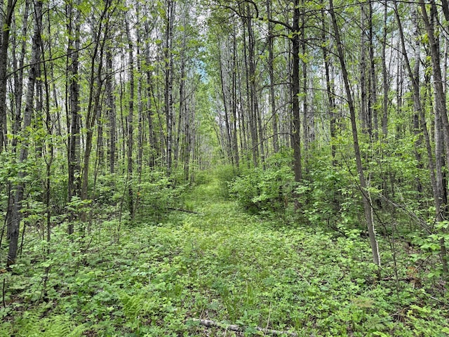 67241 State Highway 65, Togo, MN 55723