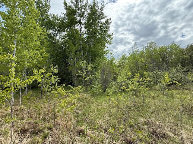 67241 State Highway 65, Togo, MN 55723