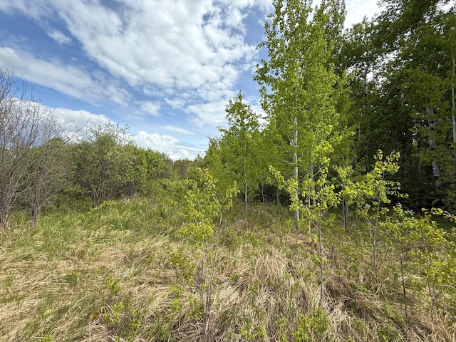 67241 State Highway 65, Togo, MN 55723