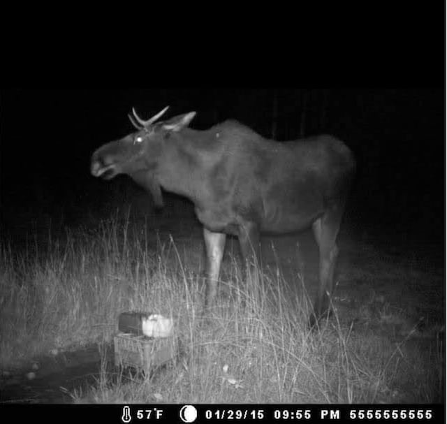 67241 State Highway 65, Togo, MN 55723