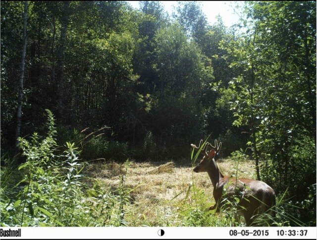 67241 State Highway 65, Togo, MN 55723