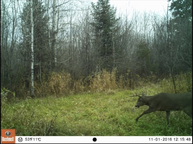 67241 State Highway 65, Togo, MN 55723