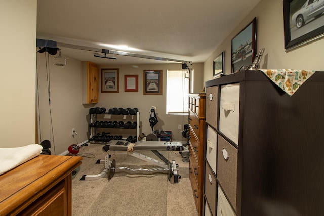 6823 Re Echo Ridge Dr NE, Remer, MN 56672 - exercise room featuring carpet flooring and baseboards