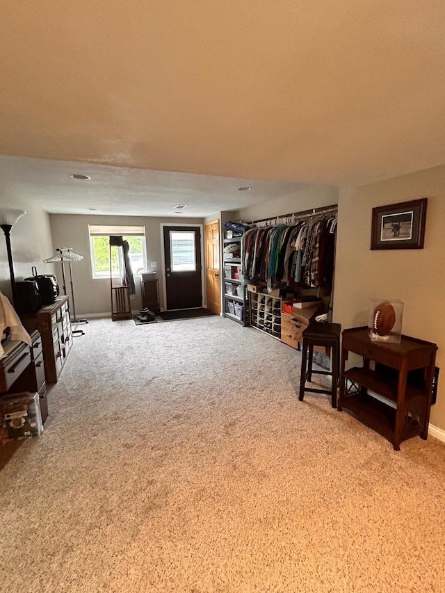 6823 Re Echo Ridge Dr NE, Remer, MN 56672 - walk in closet with carpet