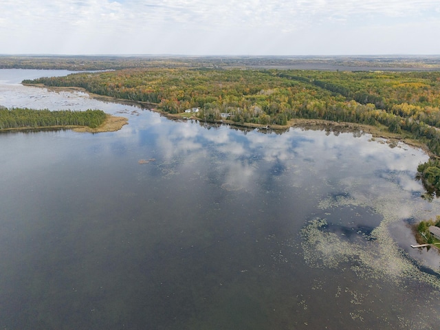 6823 Re Echo Ridge Dr NE, Remer, MN 56672 - aerial view of a forest and a nearby body of water