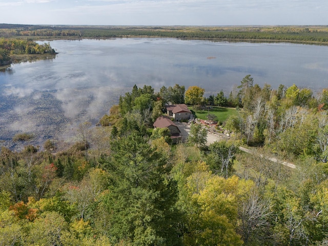6823 Re Echo Ridge Dr NE, Remer, MN 56672 - view from above of property featuring a nearby body of water and a heavily wooded area