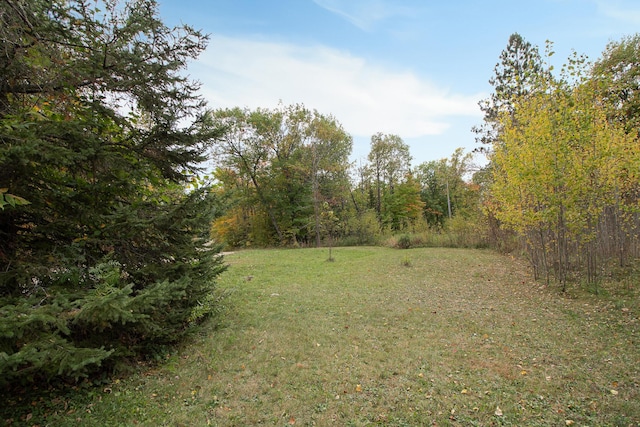 6823 Re Echo Ridge Dr NE, Remer, MN 56672 - view of grassy yard with a forest view