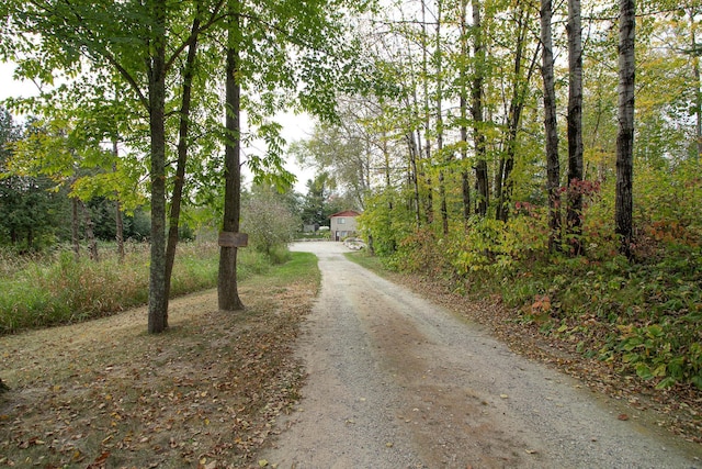 6823 Re Echo Ridge Dr NE, Remer, MN 56672 - view of dirt / gravel road with a wooded view